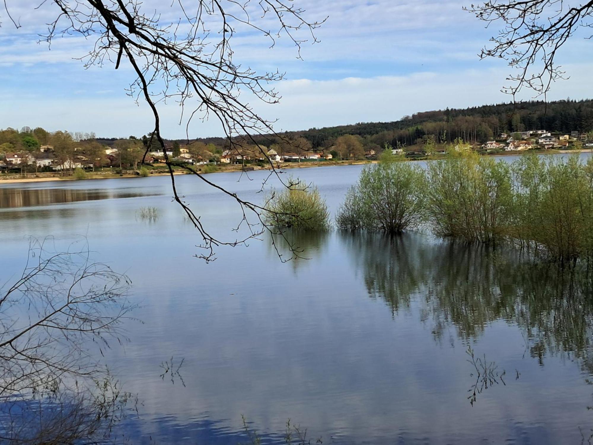 Grand Gite Des Pins Chaumousey Zewnętrze zdjęcie